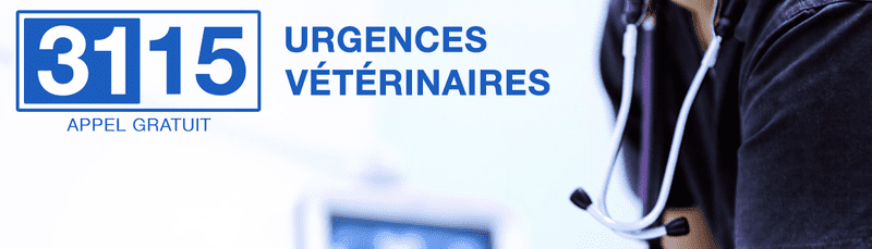 URGENCES VETERINAIRES